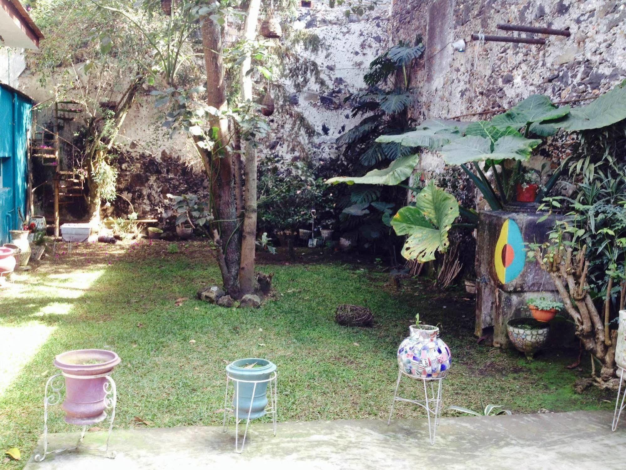 Catre De Mi Corazon Hostel Xalapa Bagian luar foto